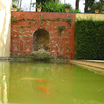 IMG_0885.JPG