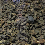 DSC03010.JPG