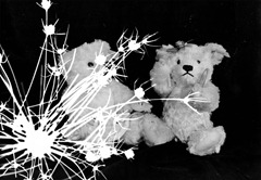 Split-Toned-Prints---Bears-2-I