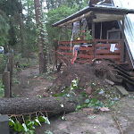 2012-08-06 16.53.10.jpg