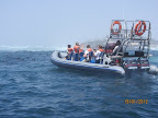 IMG_1398.JPG