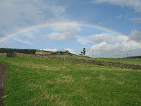 IMG_4459.JPG