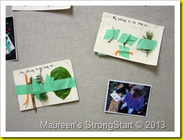 IMG_2868 IMG_2868