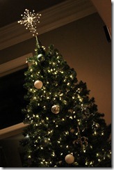 Christmas 039