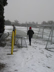 start to run 2010: Foto
