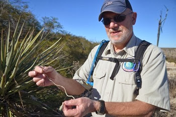 Seminole Canyon rock art tour