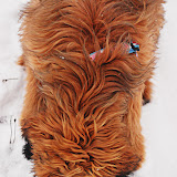 Abi - DSC_0048.jpg