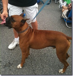 ice break at the 4th of July parade