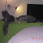 cats_chance_2010-05-29_01.JPG