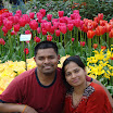 Tulip gardens 773.JPG