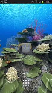 download Coral Reef of Kerama HD free