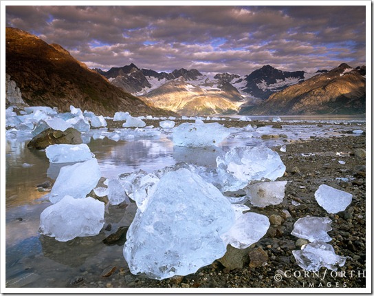 USA, Alaska, Glacier Bay NP, Stranded icebergs at low tide in front of the Lamplugh Glacier with sunrise clouds over the mountains of Johns Hopkins Inlet