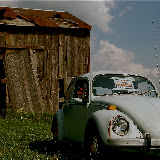"Classic Beauty 1" - copyright Trasi Kromer