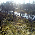 dsc00733.jpg