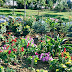 StrandTermal Sarcau%252520%2525289%252529 Strandul termal de langa Sarcau (jud. Bihor)