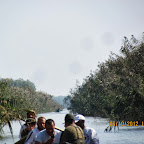 IMG_7956.JPG