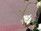 IMG_0029.jpg