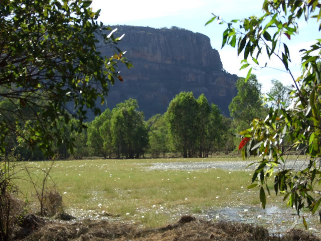 Kakadu NP