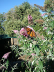 2012-01-24 17.46.27.jpg