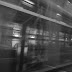 R0028182.JPG