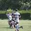 IMG_0519-20110520.JPG
