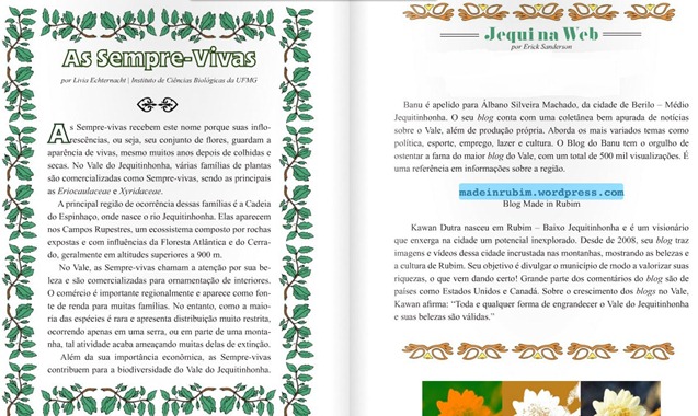 Página onde esta localizada a referência Página onde esta localizada a referência