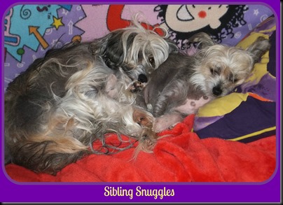snuggles