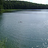 w głębinach jez. Trześniowskiego dsc01940.jpg