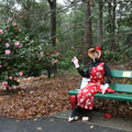 Scarecrows at Tamborine Mountain