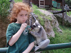 p1271841916(11).jpg