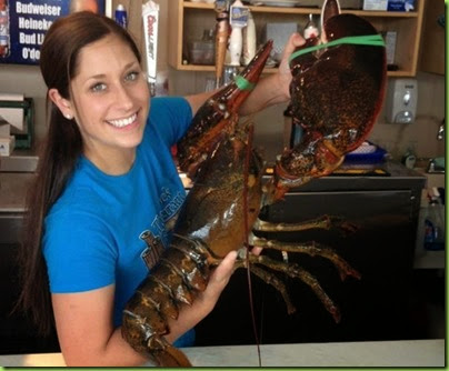 giant lobster