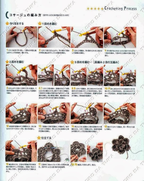 [XALIM%2520E%255B4%255D.jpg]