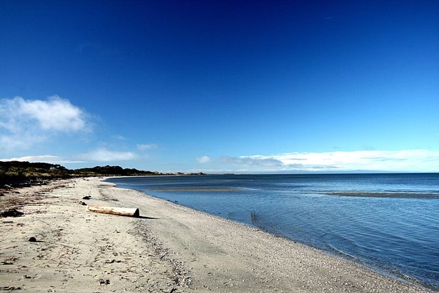 [Farewell%2520Spit%2520Beach%25202%255B3%255D.jpg]