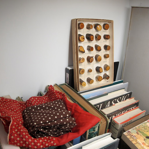 The box in the corner is a collector's item–filled with different types of wood. Students would receive these boxes to demonstrate the differences among things found in nature, such as wood or sea shells. The box in the corner is a collector's item–filled with different types of wood. Students would receive these boxes to demonstrate the differences among things found in nature, such as wood or sea shells.