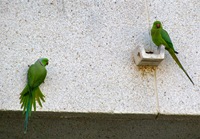 IMG_2522 IMG_2522