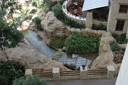IMG_0904.JPG