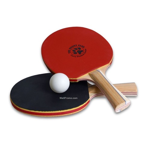 [Ping-Pong-Paddle-4255%255B2%255D.jpg]