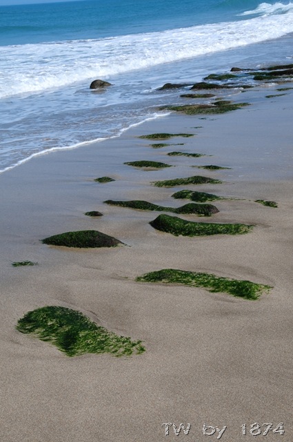 [DSC_6049%255B8%255D.jpg]