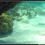 IMG_8674.JPG