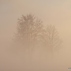 20091202 Allgaeu 1084 [640x480].JPG