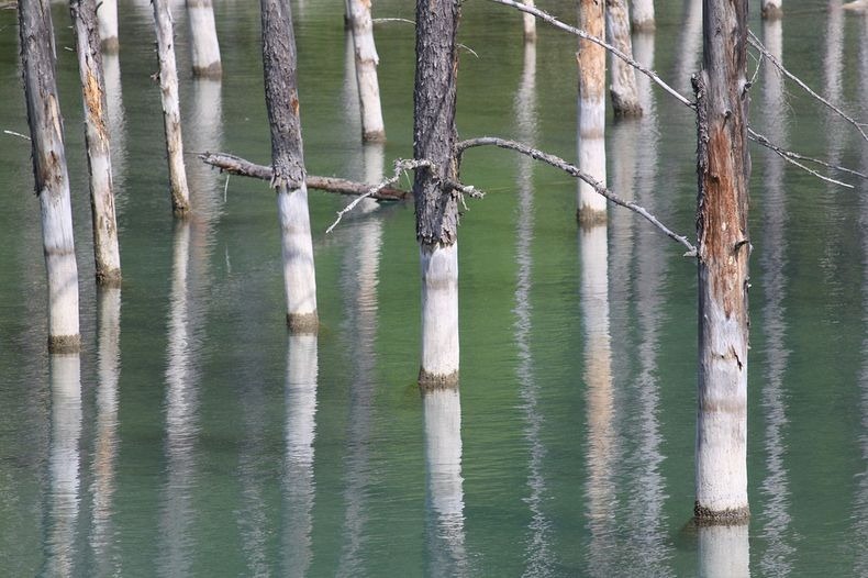 blue-pond-11 blue-pond-11