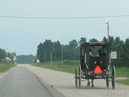 The Amish July 2012