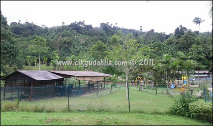 IMG_20111123_131144 IMG_20111123_131144