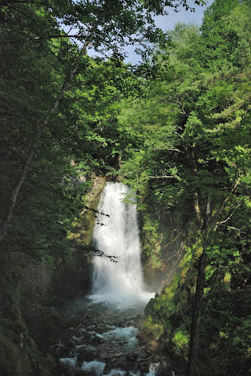 平金大滝