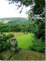baitlaws view and owl