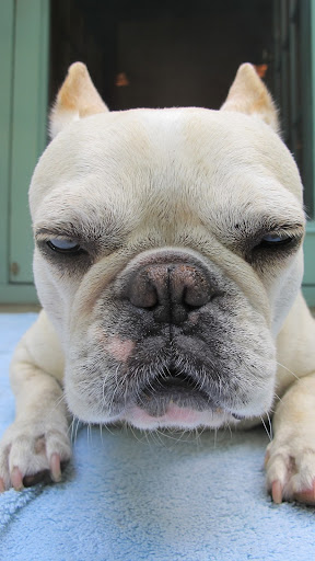 Oh, I'm just too tired to even care.