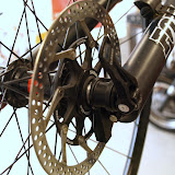 image5.jpg