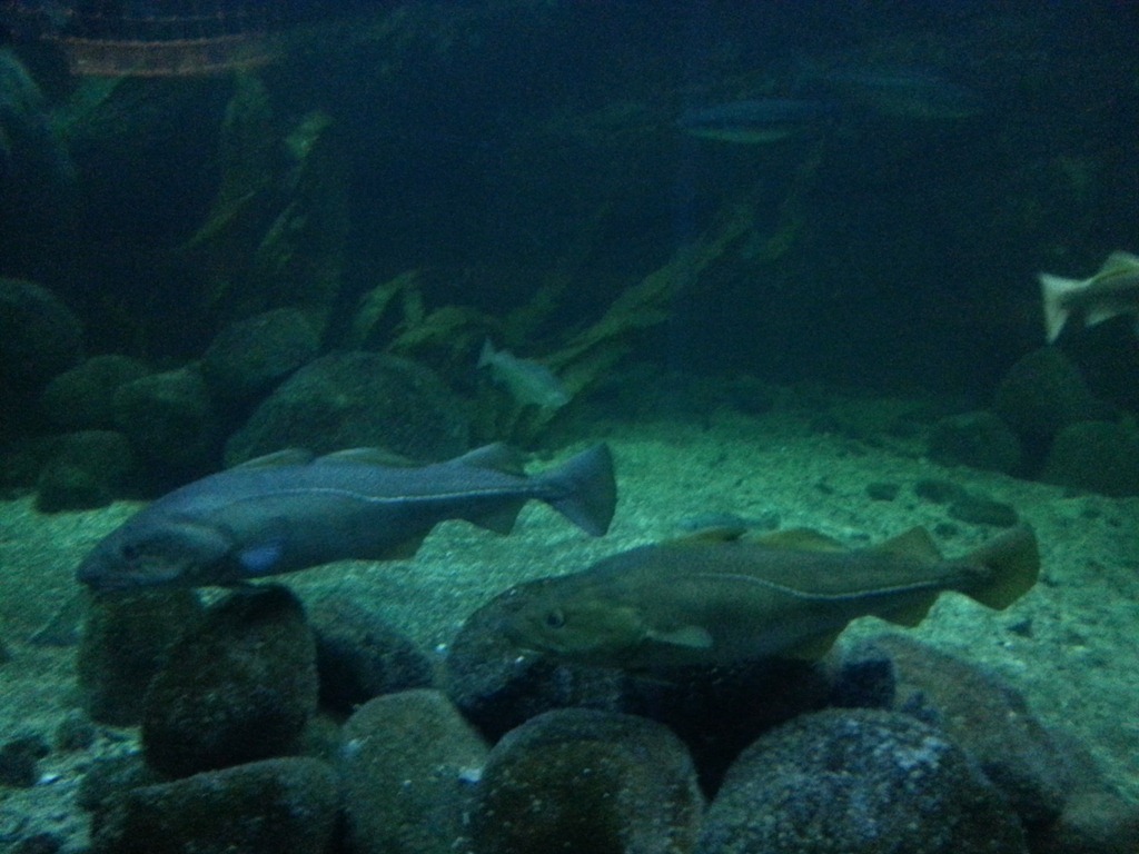 [2013-02-03%252011.53.25%255B6%255D.jpg]