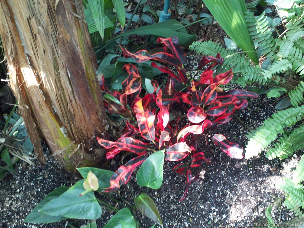 [Tropical%2520garden-6%255B7%255D.jpg]