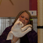 Omkara La Flaca of Bearcloud on show in kitten class @ 7 months Viking Cats-38.jpg